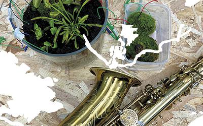 Composer avec le vivant l Conférence de Diane Schuh