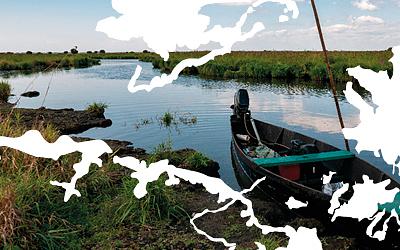 Table Ronde Arts-Sciences : enjeu de coopérations