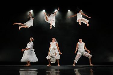 Orphées