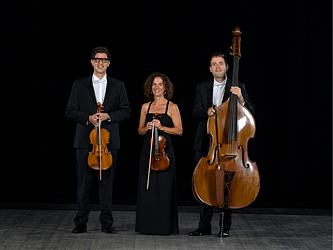 BACH (Petite histoire des variations Goldberg)