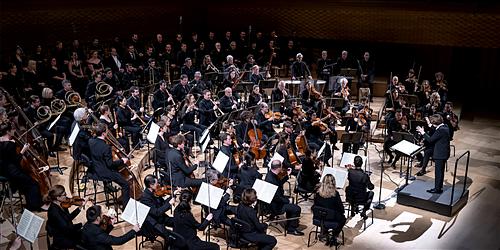 Ensemble Insula Orchestra