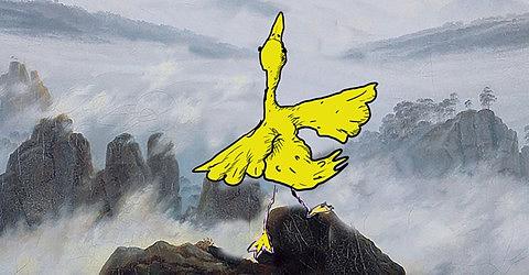 CANARD OR NOT CANARD