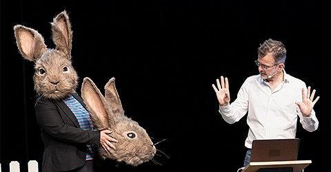 LE PROBLÈME LAPIN