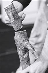 L'HOMME QUI PLANTAIT DES ARBRES